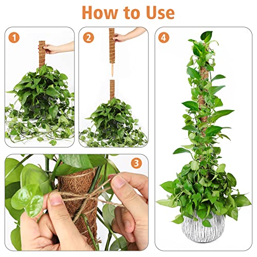 【4 Pack】 JJGoo Moss Pole, 17 inch Coco Coir Totem Poles Extending to 53 Inches, Plant Support Stick Plant Poles for Indoor Plants Climbing Plants Monstera, Sphagnum, Pothos - size: 4 Pack 17 inch