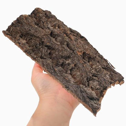 IMIKEYA 4Pcs Reptile Tree Bark Reptile Hides: Natural Wood Cork Bark Gecko Hide Small Climbing Barks Terrarium Decor Lizard Geckos Tortoise Birdcage Tank Accessories Water Tube Landscaping