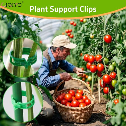 Plant Support Clips,Plastic Clips for Securing Plants,Tomato Vine Clips,Plant Fixing Clips,Garden Clips for Climbing Plants,Grape and Vine Vegetables (100, Light Green) - color: Light Green