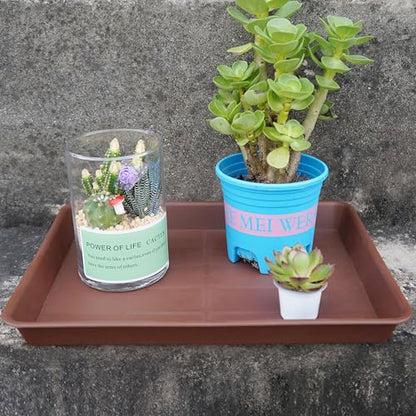 VUWEZ Rectangle Plant Tray, Plant Drip Tray, Plant Pot Saucers, Plant Germination Trays, Plant Saucers, 11'' x 9'' x 1.2'' (2 pack), Chocolate - color: Chocolate, size: 11'' x 9'' x 1.2'' (2 pack)