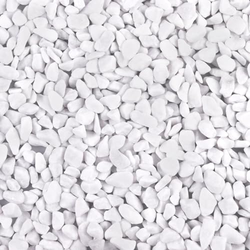 5lb River Rocks Polished Silica Gravel for Plants Garden, Decorative Pebbles Ideal for Fish Tank, Vases, Succulents, Crafting, Home Decor and Garden Landscaping, Snow White(0.2-0.3”) - color: White Large