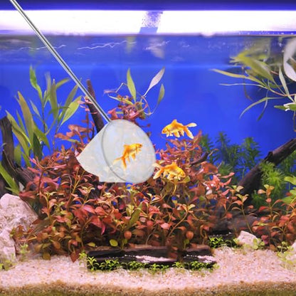 SOLUSTRE Fine Mesh Fish and Shrimp Net with Telescopic Stainless Steel Handle 3D Small Fish Tank Net for Aquarium and Brine Shrimp Catching