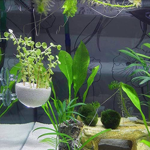 WEAVERBIRD Aquarium Plant Decoration with 2 Suction Cups for Fish Tank, Glass