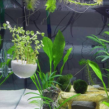 WEAVERBIRD Aquarium Plant Decoration with 2 Suction Cups for Fish Tank, Glass