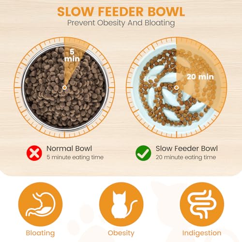 PETTOM Slow Feeder Cat Bowl with Stand, Ceramic Slow Eating Cat Bowl with Higher Edges Fish Pool Design Elevated Food Bowls for Dry and Wet Food Anti-Vomiting Puzzle Feeder for Healthy Eating Diet - color: Green