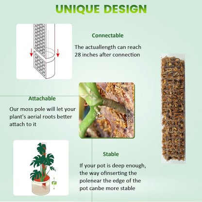 EOX 4 Pcs 15 Inch Plastic Moss Pole for Plants Monstera Set with 5.3oz/150g Sphagnum Moss, Plant Poles for Climbing Plants, Plant Support for Indoor Plants, Garden Ties - size: 4 PACK-15Inch-moss included