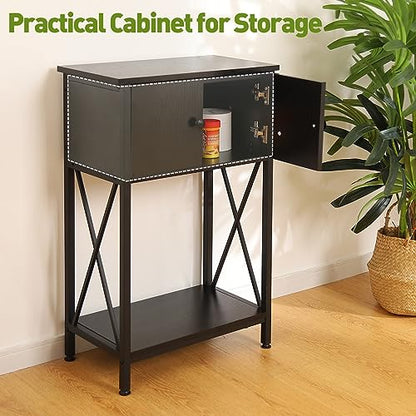 LAQUAL 10 Gallon Fish Tank Stand with Cabinet, Double Aquarium Stand for 10 & 5 Gallon Fish Tank, Heavy Metal Stand with Stable Structure, Adjustable Table Feet & Anti-tilt Device - Black - color: Black 5-10Gallon, size: 5-10Gallon