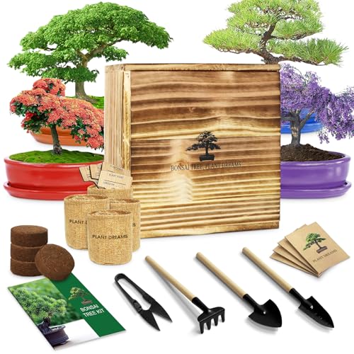 LUOJIBIE Bonsai Tree Kit for Beginners & Plant Lover