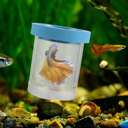 ORFOFE 2pcs Aquarium Breeding Box Floating Incubator Fish Tank Isolation Box Plastic Hatchery Nursery for Guppy Fry and Small Fish