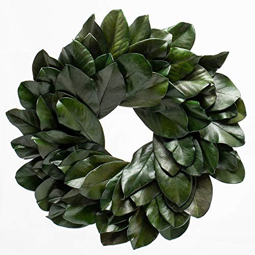 Richland Preserved Magnolia Wreath 17" Set of 6 Home Wedding Rustic Decor - color: Green, size: 17" (Set 6)