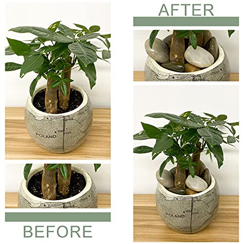 FANTIAN 20 lbs Pebbles for Outdoor Landscaping, 1-2 Inch River Rocks | Polished Pebbles for Plant Indoor, Aquarium, Vase, Fish Tank, Landscaping, Outdoor Garden - size: 1-2 Inch, style: 20 Pounds