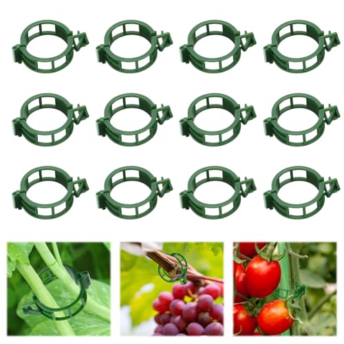 100pcs Plant Support Clips, Plastic Clips for Climbing Plants (100, Green) | Reusable Plastic Trellis Clips for Tomato, Grape Vine, Vegetables, Garden Fixing Clips - color: Green