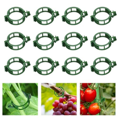 100pcs Plant Support Clips, Plastic Clips for Climbing Plants (100, Green) | Reusable Plastic Trellis Clips for Tomato, Grape Vine, Vegetables, Garden Fixing Clips - color: Green
