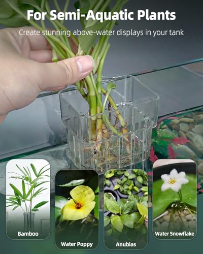 Pawfly 2 Pcs Clear Acrylic Aquarium Plant Holder for Fish Tanks, Top Hanging Fish Tank Planting Holder with Hook, Adjustable Aquarium Planter Cup - size: 2 Pcs