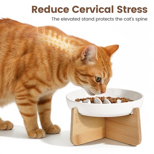 PETTOM Slow Feeder Cat Bowl Elevated Ceramic with Bamboo Stand, Raised Pet Puzzle Dishes for Indoor Cats Small Dog, Anti Vomit Cat Bowl for Wet & Dry Food - color: White-fishbone