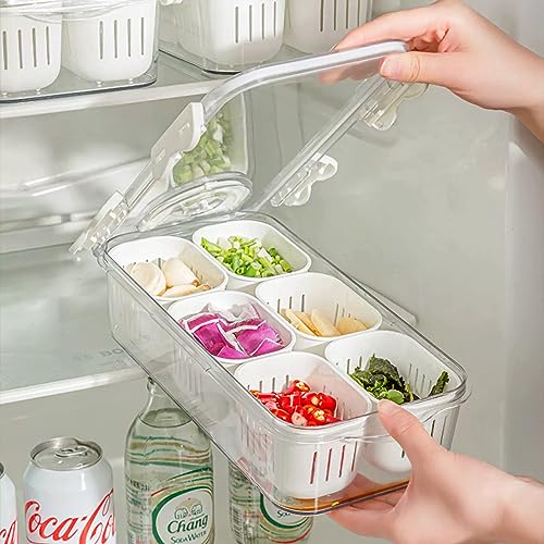 2팩 분할 식품 서빙 트레이, 뚜껑 포함, 쌓을 수 있는 스내클 박스, 캔디 너트, 향신료, 과일 및 채소 용기, 6개의 작은 칸막이 플라스틱 보관함, 냉장고 식료품 저장실 냉동고용 - size: 2Pack with 12 dividers
