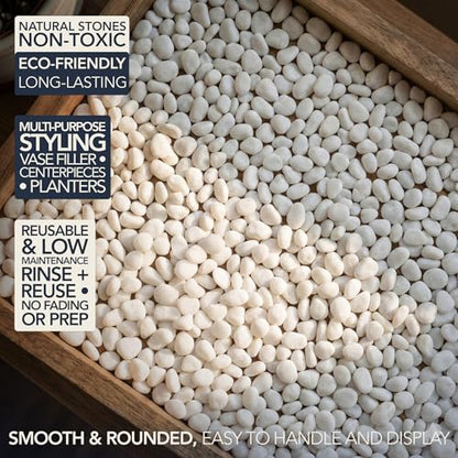 Royal Imports River Rocks, Aquarium Gravel – White 0.5"- 0.75" - 30 lbs | Decorative Ornamental Vase Filler Pebbles for Potted Plants, Terrariums, Vases, Succulents, Fish Tank Gravel, DIY & Crafting - size: Small - 30 lbs, style: White