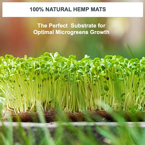 Hemp Mats - Microgreens & Wheatgrass Kit Refills | Replacement hemp mats for ZestiGreens microgreens and wheatgrass kits; seeds and trays not included. - color: Hemp Mats Only