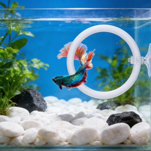 2 PCS Betta Fish Exercise Ring, 2 Exercise Training Ring and 1 Fish Mirror with Balls Betta Enrichment Toys with Suction Cup for Small Medium Fishes Bettas Aquarium, White