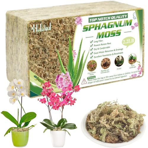 Halatool 2.2 LB Sphagnum Moss for Plants, 40 QT Long Fiber Orchid Moss | Drainage & Moisture Retention, Natural Moss for Ferns, Succulents, Carnivorous, Orchid Repotting, Terrariums, Reptile Bedding - size: 40 qt (2.2 lbs)