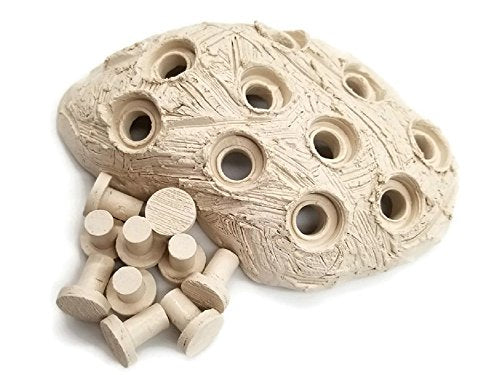 Oceans Wonders Frag Station Hub 10.0 Coral Reef Plug Holder with 10 Plugs