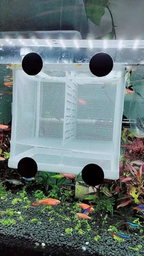 Fish Nursery for Aquarium-Fish，Aquarium Fish Breeder Box, Hatching Box, Juvenile Fish Spawning Incubator, Water Isolation Net Hatchery、Fish Isolation Box 16 x 14 x 15cm - color: square