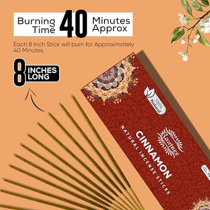 Raajsee Cinnamon Incense Sticks 100gm, Charcoal Free - !00% Natural - Organic Non-Toxic Insence Sticks, Inscents Made with Upcycled Flowers, Meditation Gifts – Spiritual Cleansing - color: Cinnamon