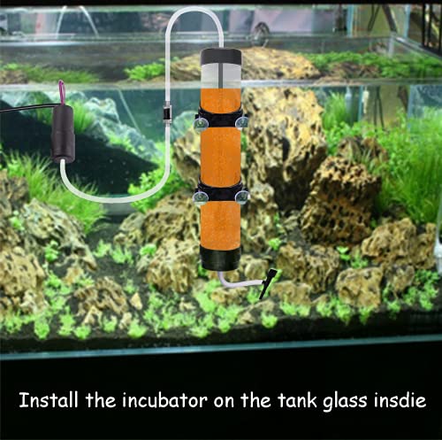 NestBasics Brine Shrimp Hatchery Kit - Artemia Eggs Incubator