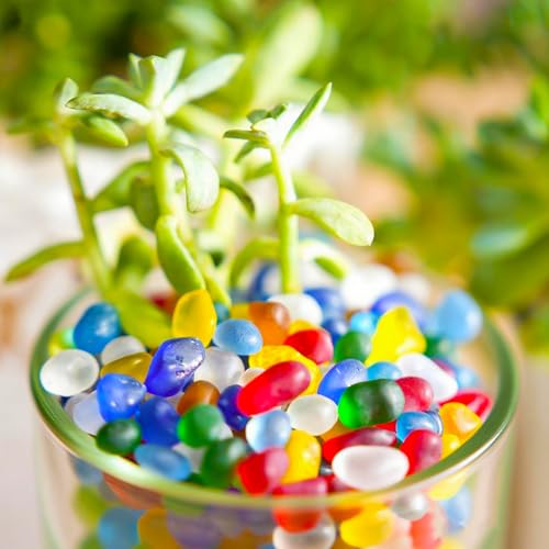Sea Glass Pebbles 6–9mm – Frosted Irregular Tumbled Glass for Vase Fillers, Aquarium Gravel & Resin Art | Decorative Frosted Stones for DIY Crafts