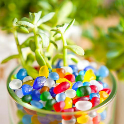 Sea Glass Pebbles 6–9mm – Frosted Irregular Tumbled Glass for Vase Fillers, Aquarium Gravel & Resin Art | Decorative Frosted Stones for DIY Crafts