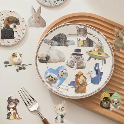 50Pieces Cat Dog Meme Stickers, Funny Animal Transparent PET Sticker Self-Adhesive Scrapbooking Stickers Supplies Journal Stocking Stuffers for Kid Adult Card Making Letters DIY (CDMEME-PET) - color: Cdmeme-pet
