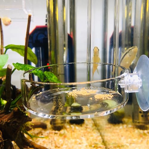 Aquarium Glass Feeder Shrimp Feeding Dish Round Clear Fish Tank Food Tray Container Prevent Food Spilling with Suction Cup, 65mm