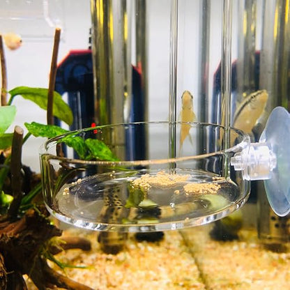 Aquarium Glass Feeder Shrimp Feeding Dish Round Clear Fish Tank Food Tray Container Prevent Food Spilling with Suction Cup, 65mm