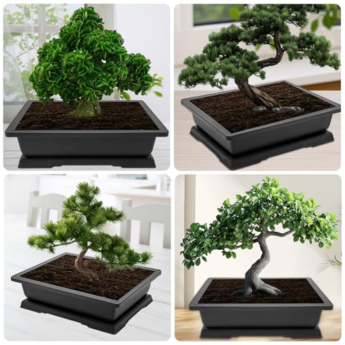 GROWNEER Large Bonsai Training Pots 3 Packs 14 Inch with Drainage Humidity Trays & Repotting Mat, Bonsai Tree Pot Starter Kits, Growing Rectangle Planter for Garden Yard Office Indoor Outdoor - size: 3pcs/14x10.3in