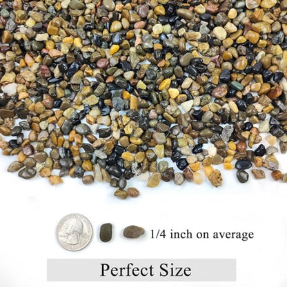 FANTIAN 2 lbs Aquarium Gravel, 1/4 inch Pea Gravel for Fish Tank | Natural Pebbles River Rocks for Plants, Succulent, Vase, Pond, Outdoor Landscaping, Drainage, Terrarium, Safe for Fish - size: 1/4 Inch