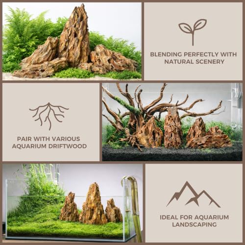 2.2-8.1 Inches Natural Dragon Stone, 5 PCS Mixed Sizes Aquarium Rocks for Aquascaping, Terrariums, Reptile Tanks & Aquarium Décor - size: 2.2-8.1 in