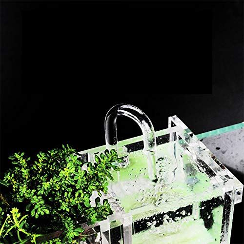 6 Grids Acrylic Fish Tank Filter Box External Aquarium Water Filter Case Transparent Acrylic Hang On Filter Box Aquarium Accessory for Restaurant Home Hotel, Without Pump (6 Grids)