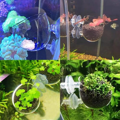 4Pcs Aquarium Plant Planter, Acrylic Fish Tank Plants Holder, Aquarium Decoration Plant Cup with Suction Cups for Fishes Tank Ornament Aquarium Décor Plastic Plants Fish and Aquatic Pets, (2",1.5")