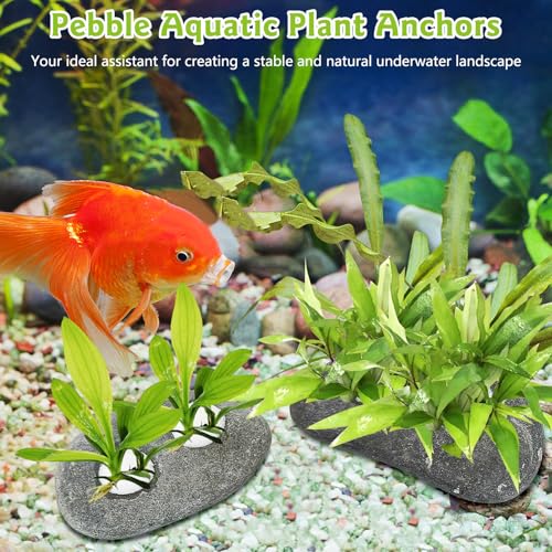 Hamiledyi Drilled Pebble Aquatic Plant Anchors Water Plants Fixed Ring Natural River Stone Plant Weights for Fish Tank Aquarium Decorations Landscape Stones(Aperture: 0.8" 2holes 6pcs)
