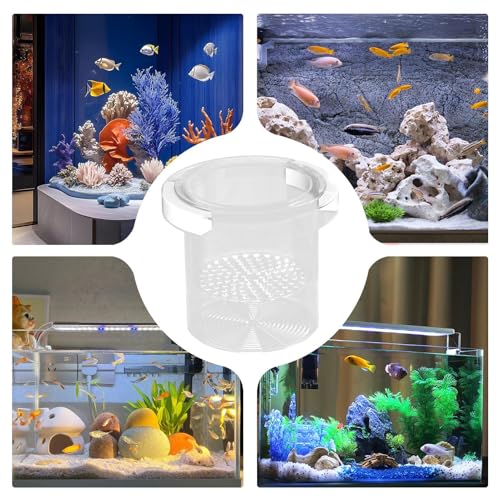 Fish Tank Breeder Box Fish Tank Isolation Box | Feeding Container Nursery Divider for Fry Guppy Acclimation Betta Angelfish Shrimp - color: Circular