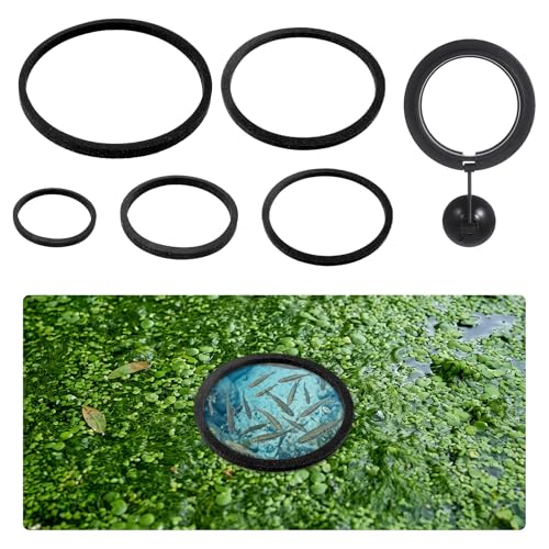 5 Sizes EVA Fish Feeding Ring and 1 Pcs Suction Cup Fish Feeder Ring | 6 Pcs Black Round Floating Rings for Aquarium Set, Floating Rings for Aquarium Betta Goldfish Guppy
