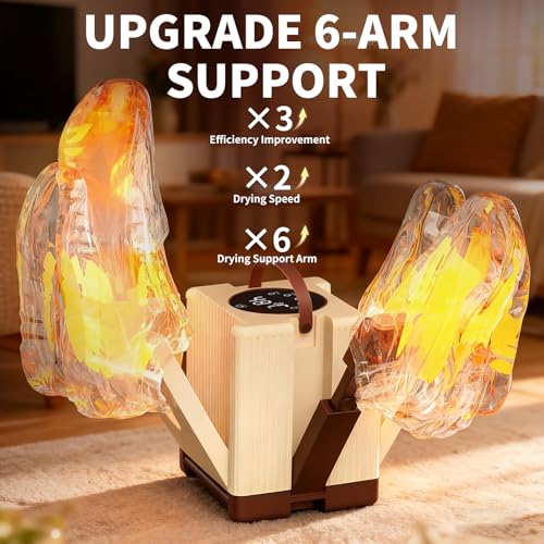 Heapsion 6-Arm Shoe Dryer and Deodorizer, Fast 360° Drying in 15s with Rose Salt Box, Foldable Boot Dryer with Timer for 3 Pairs, Portable for Travel, Home, Gym