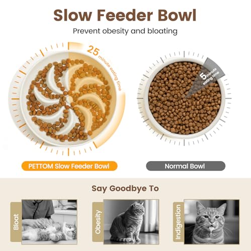 PETTOM Slow Feeder Cat Bowl with Stand, Ceramic Slow Eating Cat Bowl with Higher Edges, Elevated Cats Food Bowls for Dry and Wet Food Anti-Vomiting Puzzle Feeder for Healthy Eating Diet - color: Milky White