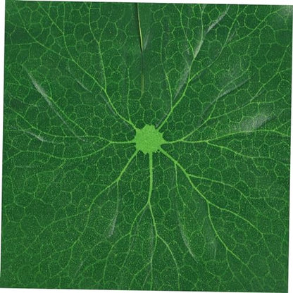 5pcs Simulation Lotus-Leaves Floating Decor Vivid Artificial Lily Pads for Aquarium Garden Decoration Material for Fish Shade Event Display