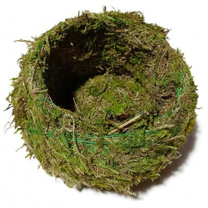 Kokedama Creative Moss Ball Planter 8cm Bowl Planter for Orchids, Bonsai & Air Plants Decorative Indoor Home Garden Decor