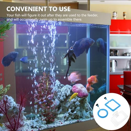 VALICLUD 3pcs Aquarium Fish Feeding Circles with Suction Cup Blue and Fish Tank Feeder Rings for Aquatic Pets