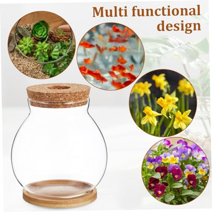 Sosoport Desktop Hydroponic Glass Fish Bowl with Mat Betta Tank for Home Office Decoration Observation Aquarium for Small Plants and Fish