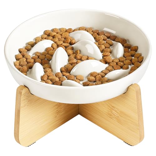PETTOM Slow Feeder Cat Bowl with Stand, Ceramic Slow Eating Cat Bowl with Higher Edges Fish Pool Design Elevated Food Bowls for Dry and Wet Food Anti-Vomiting Puzzle Feeder for Healthy Eating Diet - color: White