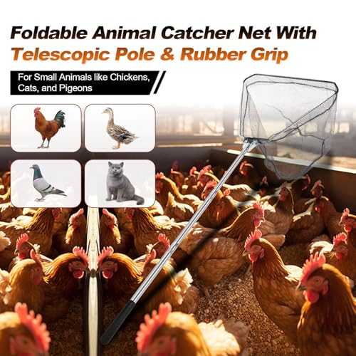 Chicken Catching Net, Animal Catch with Extendable 46In Long Handle | Landing Nets for Bird, Ducks, Cat, Dogs, Frog, Fishnet, Chicken Catcher for Poultry Supplies - Stainless Steel