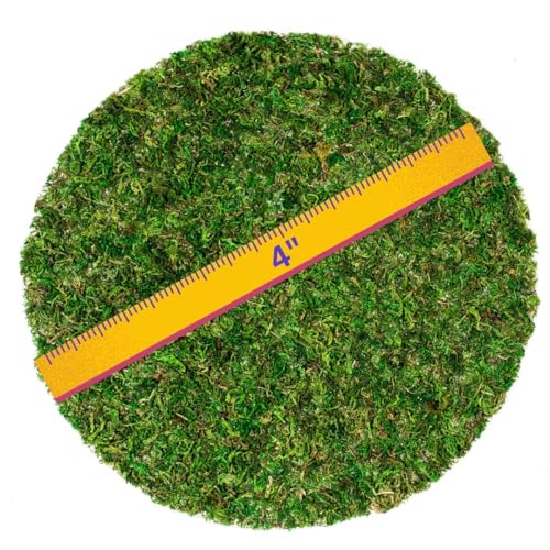 SuperMoss (26295) Moss Soil Toppers, Fresh Green, 4 (3 Units) - color: Fresh Green, size: 4" (3 units)
